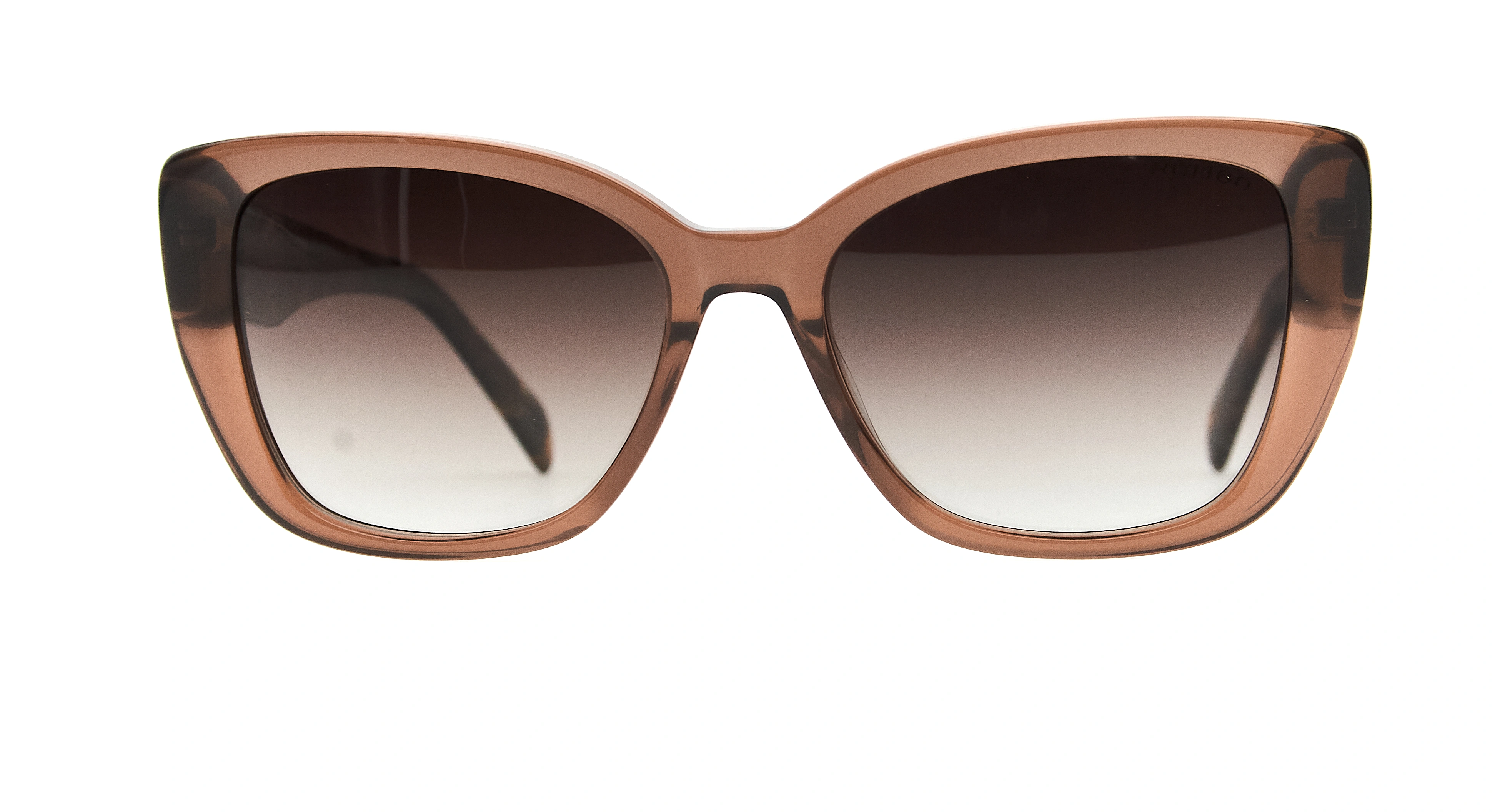 Купить Romeo R23827 C2 Коричневый - фото | Оптика Harmony