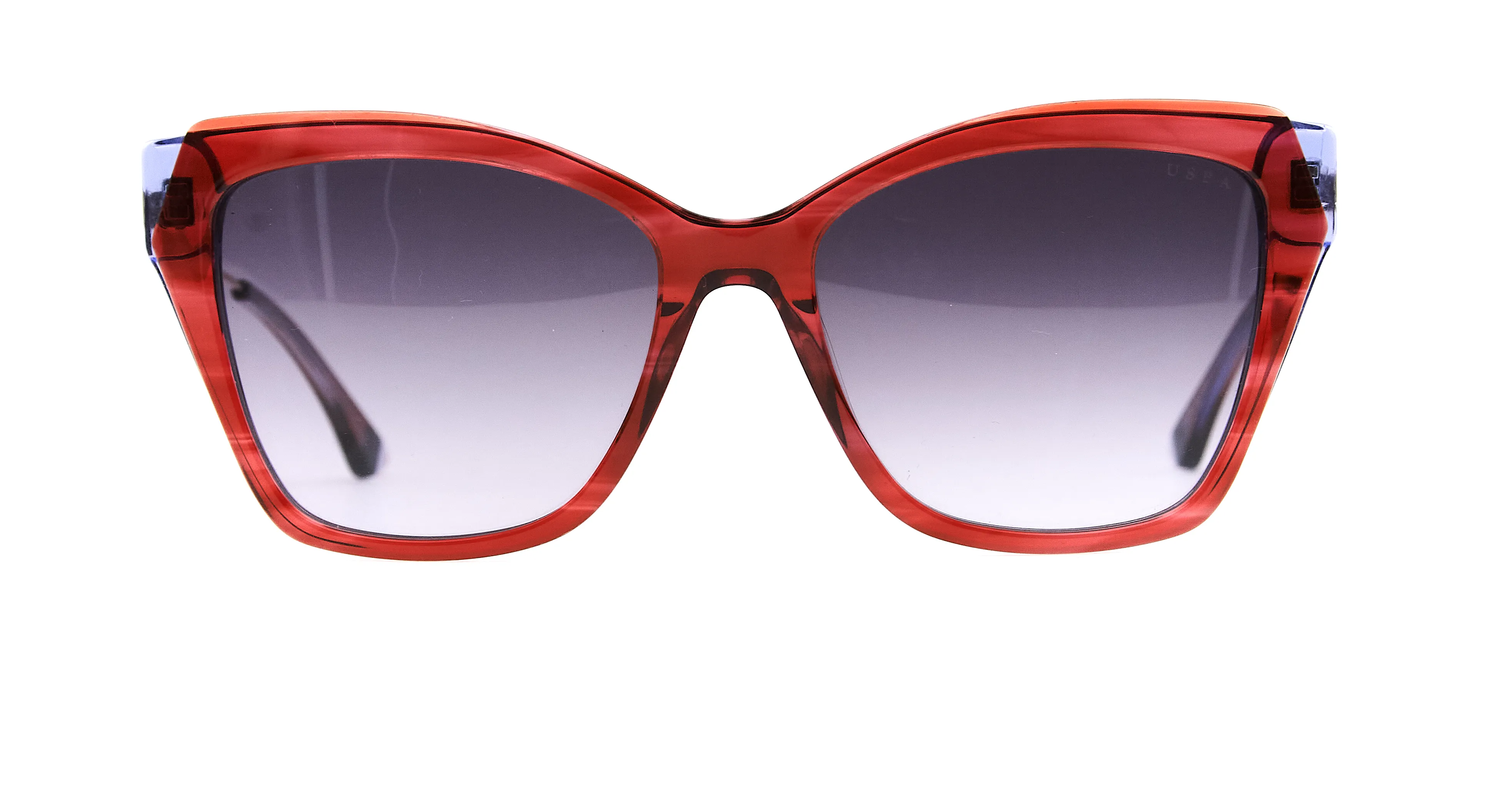 Купить POLO Uss0298 c4 - фото | Оптика Harmony